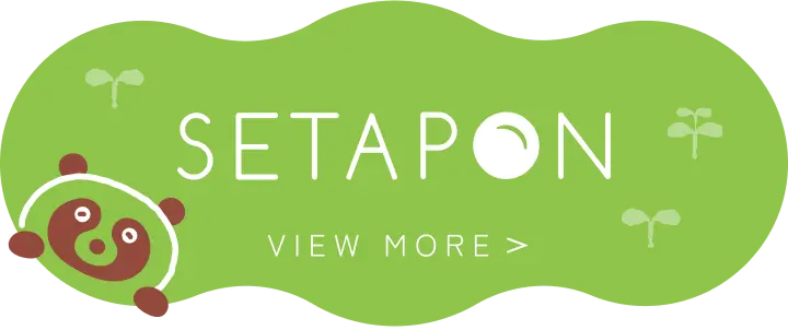 世田ポンについて